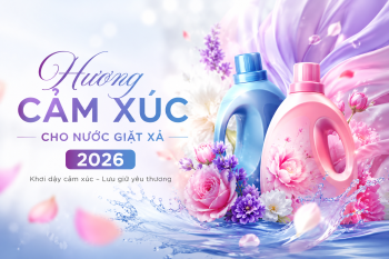 Hương Cảm Xúc Cho Nước Giặt Xả 2026